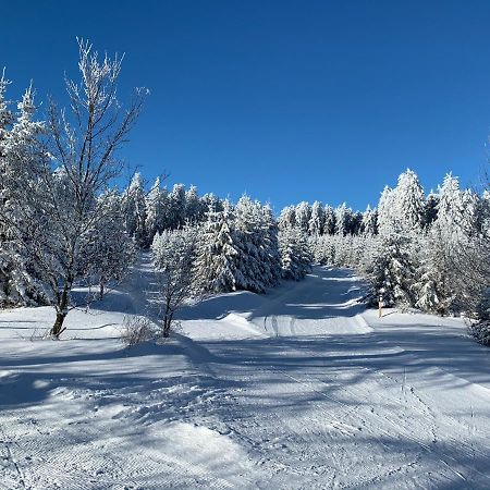 Aktiv-Ferienwohnung "Snow & Bike"- Zentral Zwischen Winterberg Und Willingen Dış mekan fotoğraf