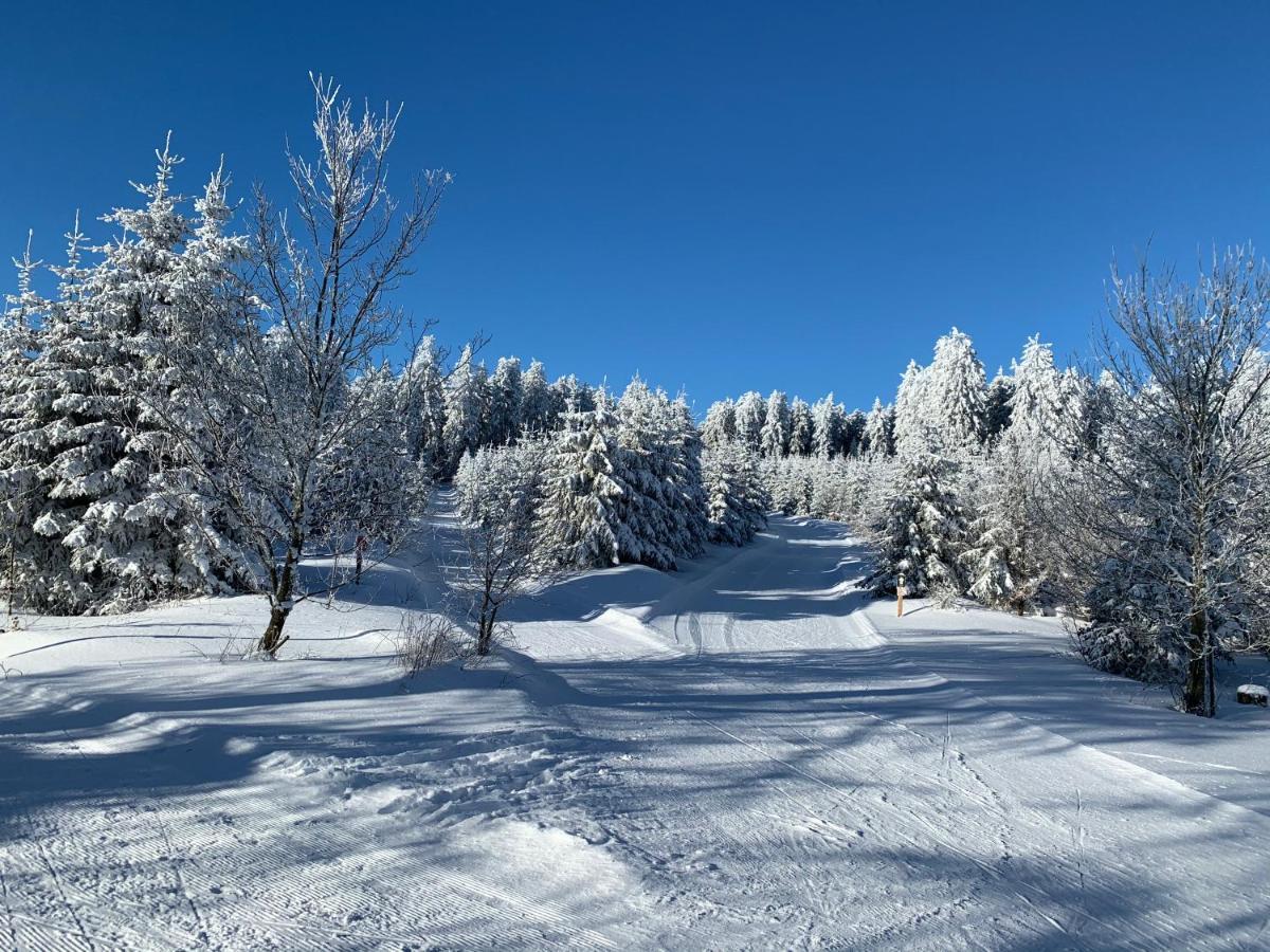 Aktiv-Ferienwohnung "Snow & Bike"- Zentral Zwischen Winterberg Und Willingen Dış mekan fotoğraf