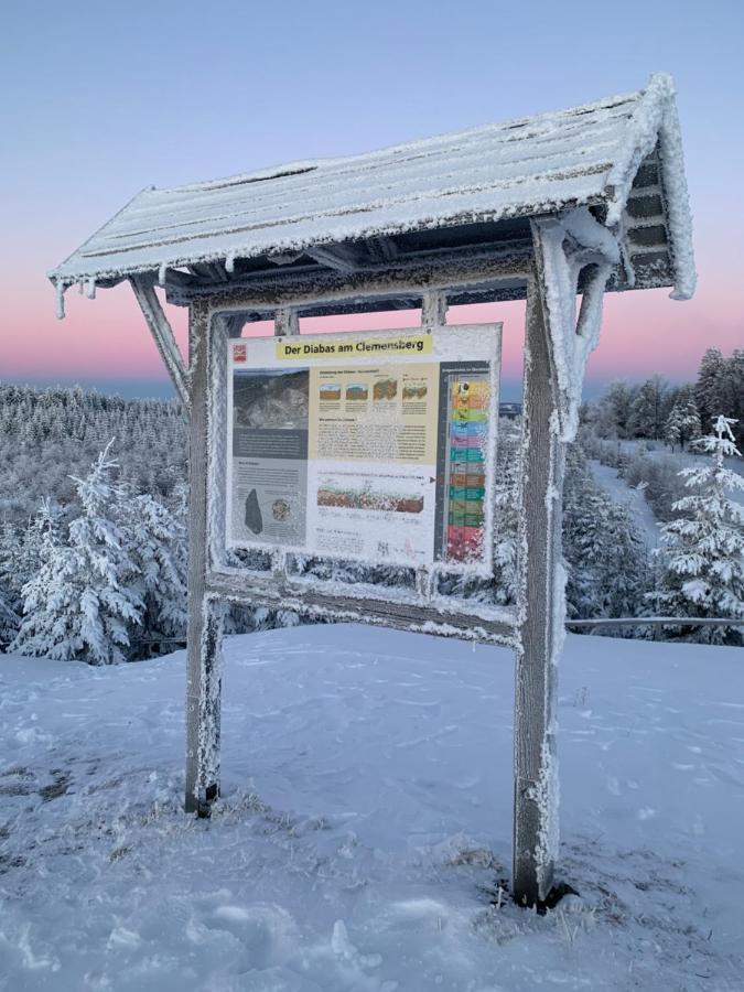 Aktiv-Ferienwohnung "Snow & Bike"- Zentral Zwischen Winterberg Und Willingen Dış mekan fotoğraf