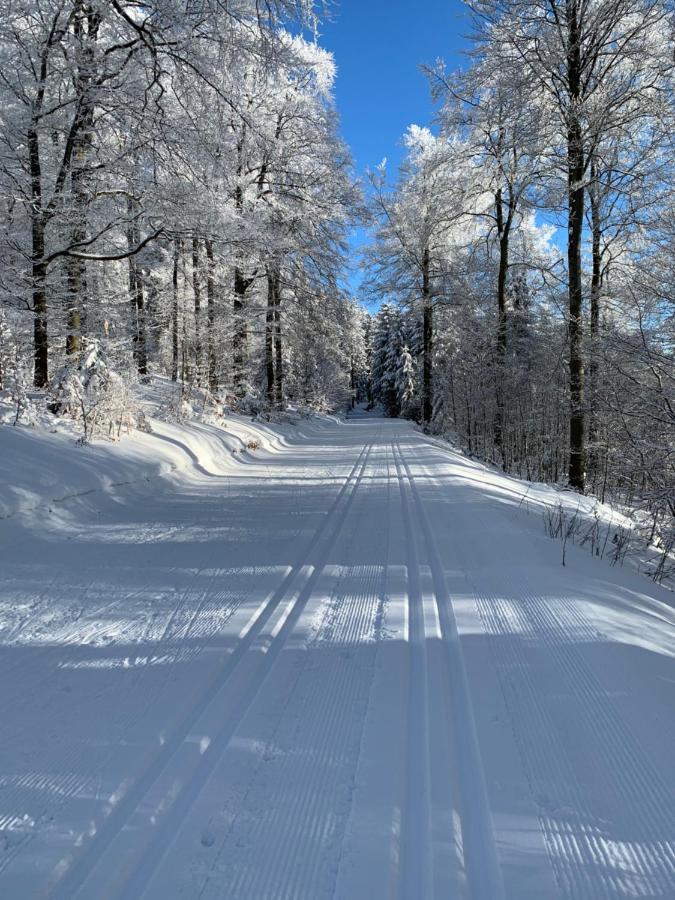 Aktiv-Ferienwohnung "Snow & Bike"- Zentral Zwischen Winterberg Und Willingen Dış mekan fotoğraf
